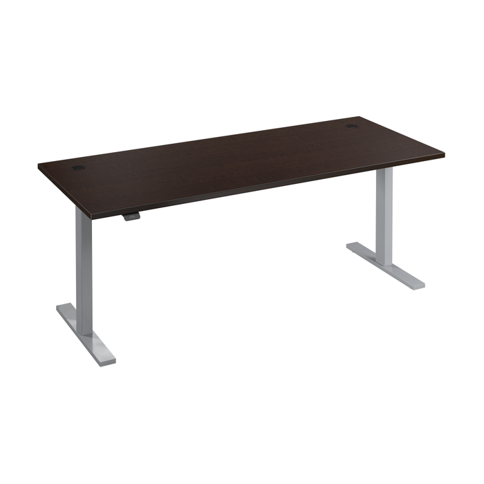 72W x 30D Height Adjustable Standing Desk