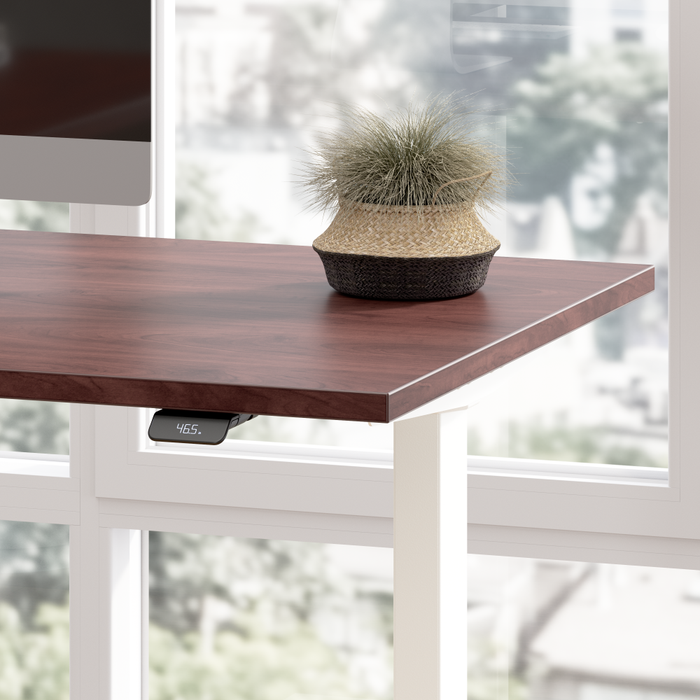 Move 60 Series 48W x 24D Electric Height Adjustable Standing Desk