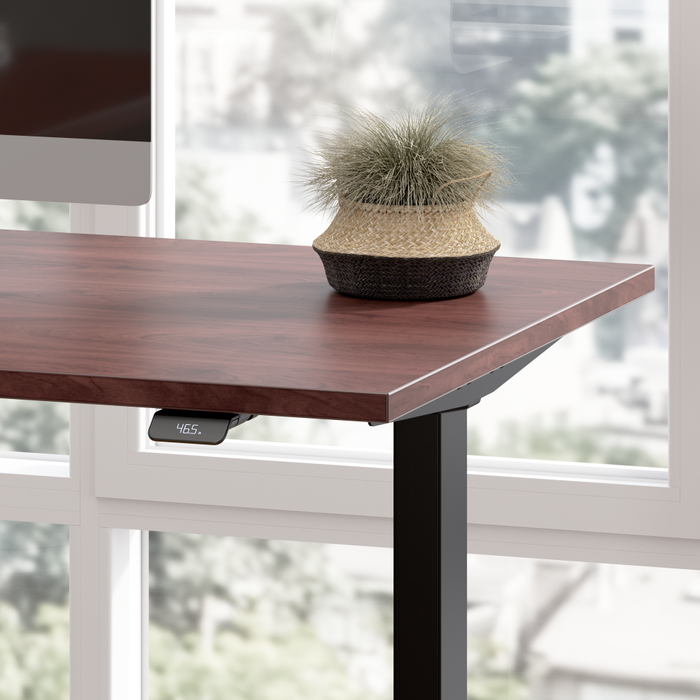Move 40 Series 48W x 24D Electric Height Adjustable Standing Desk