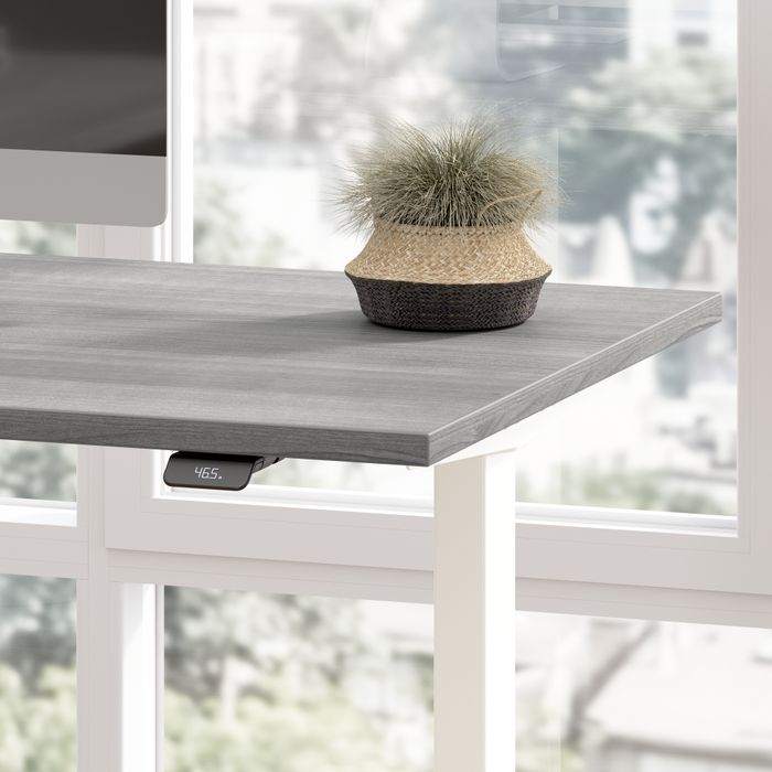 Move 60 Series 48W x 24D Electric Height Adjustable Standing Desk