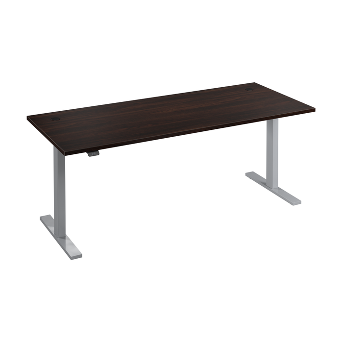 72W x 30D Height Adjustable Standing Desk