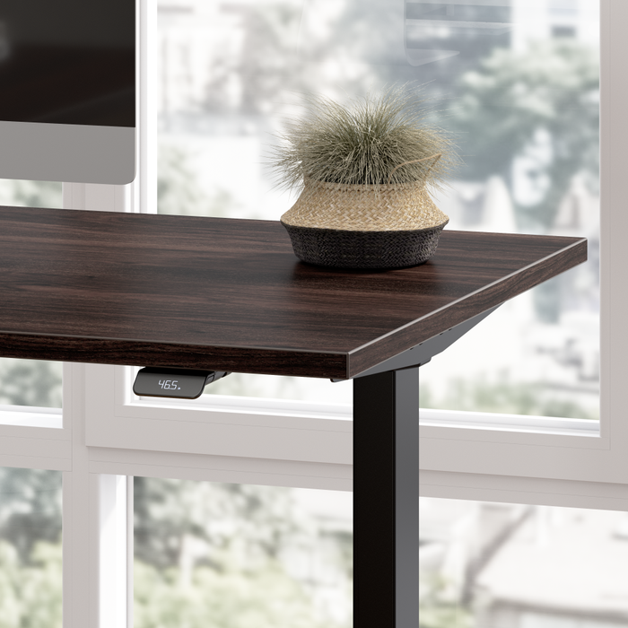 Move 40 Series 48W x 24D Electric Height Adjustable Standing Desk