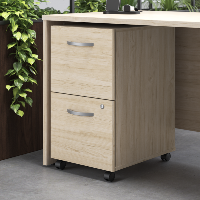 Studio C 2 Drawer Mobile File Cabinet