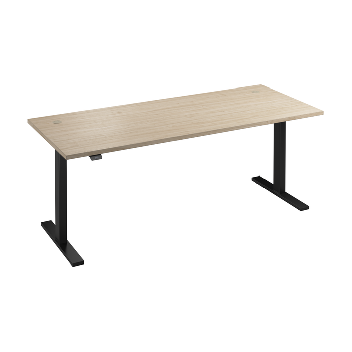 Move 60 Series 72W x 30D Electric Height Adjustable Standing Desk