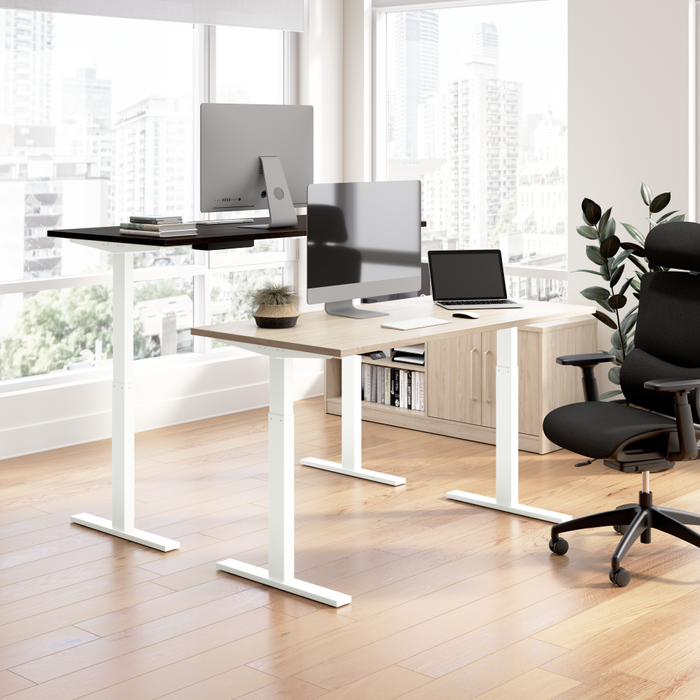Move 60 Series 48W x 24D Electric Height Adjustable Standing Desk