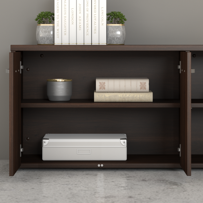 Hybrid Low Storage Cabinet with Doors and Shelves