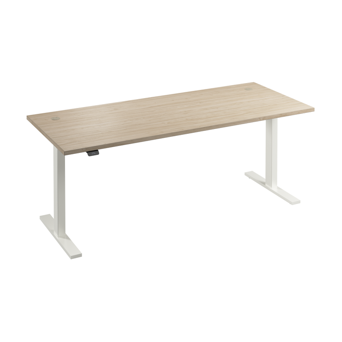 Move 60 Series 72W x 30D Electric Height Adjustable Standing Desk