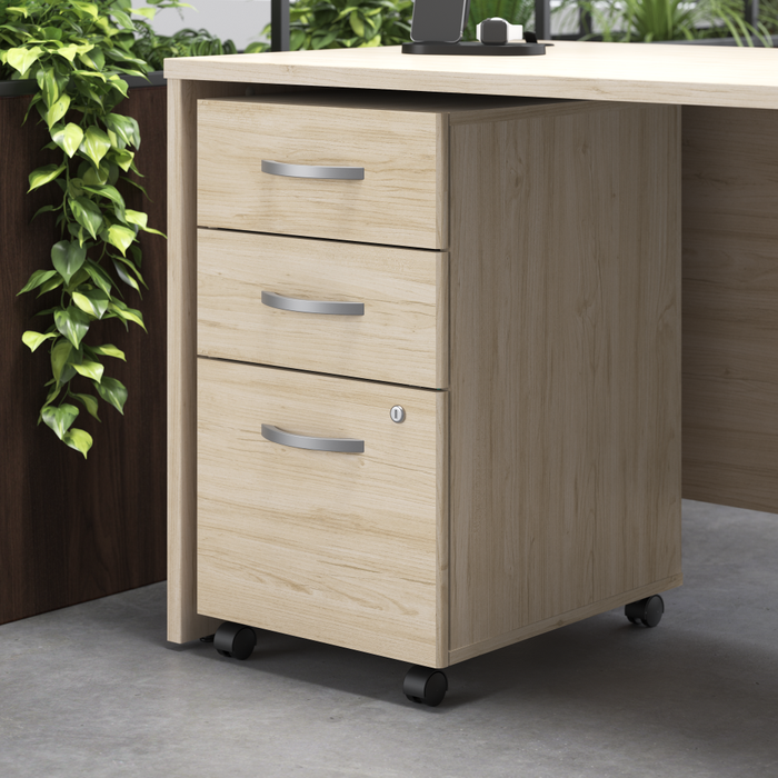 Studio C 60W x 30D Office Desk with Mobile File Cabinet