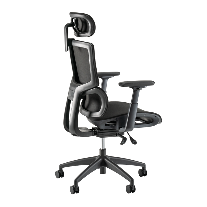 Align High Back Ergonomic Office Chair with Lumbar Support