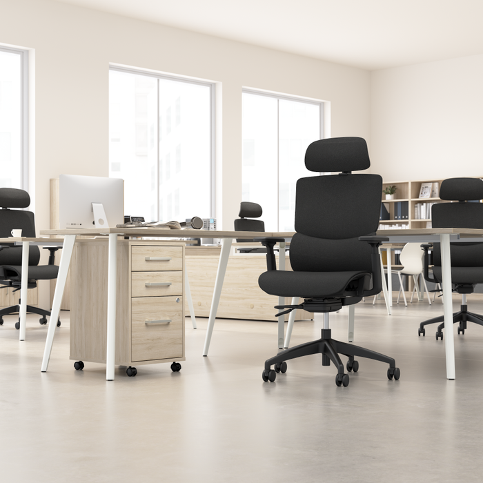 Align High Back Ergonomic Office Chair with Lumbar Support