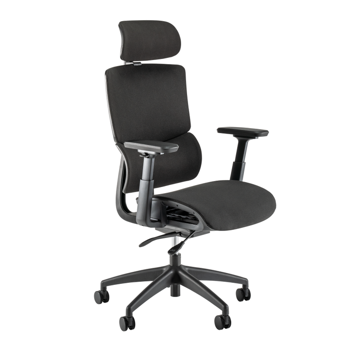 Align High Back Ergonomic Office Chair with Lumbar Support
